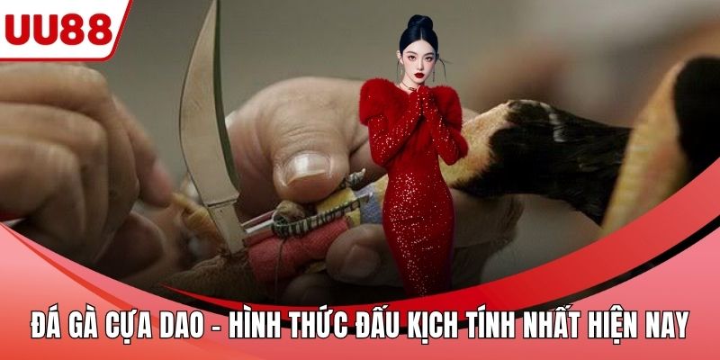 Đá Gà Cựa Dao – Hình Thức Đấu Kịch Tính Nhất Hiện Nay