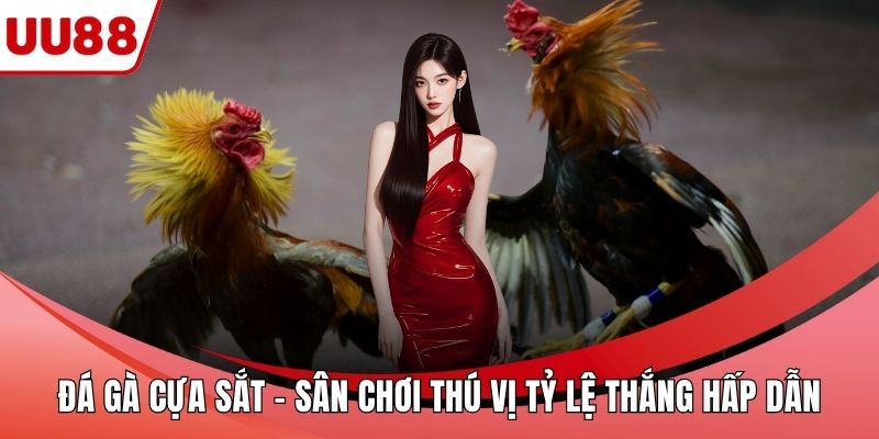 Đá Gà Cựa Sắt – Sân Chơi Thú Vị Tỷ Lệ Thắng Hấp Dẫn