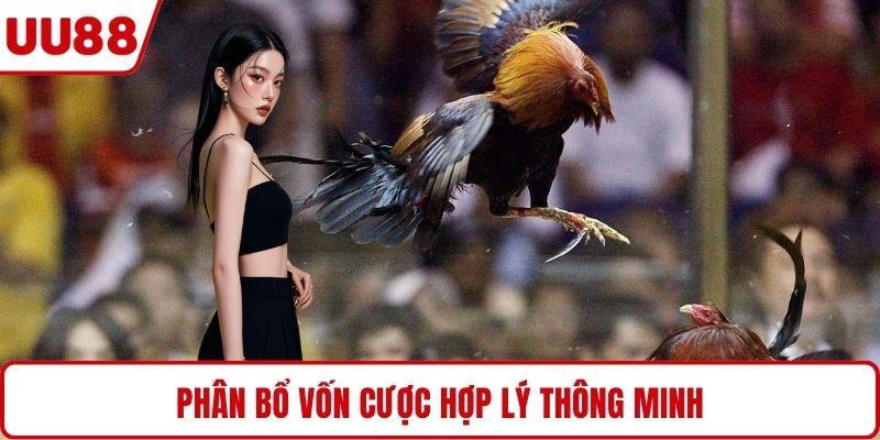 Phân bổ vốn cược hợp lý thông minh