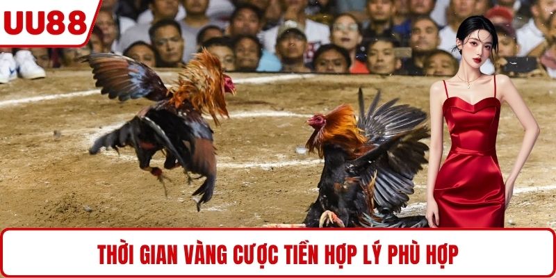Thời gian vàng cược tiền hợp lý phù hợp