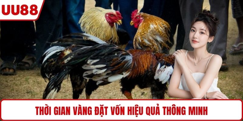 Thời gian vàng đặt vốn hiệu quả thông minh